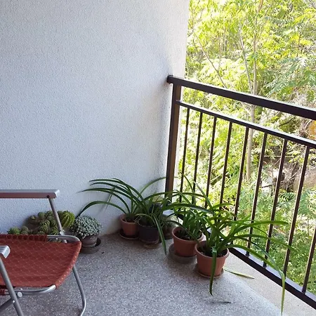Apartment Central